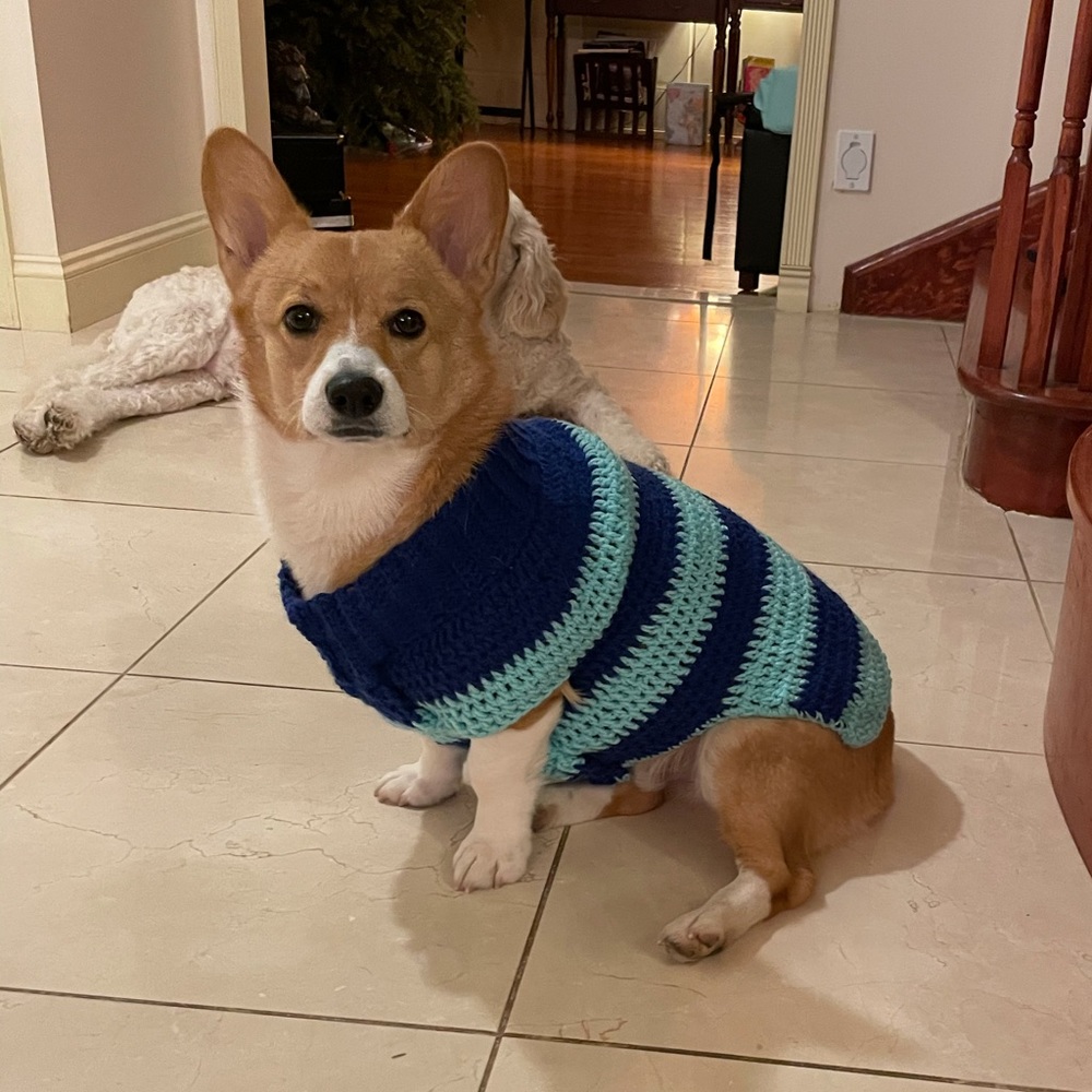 Meet your Posher, Aj